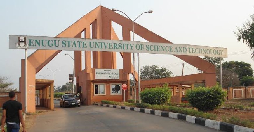 Enugu State University Suspends Four Lecturers and Class Representative Over Alleged Money-For-Grades Schem