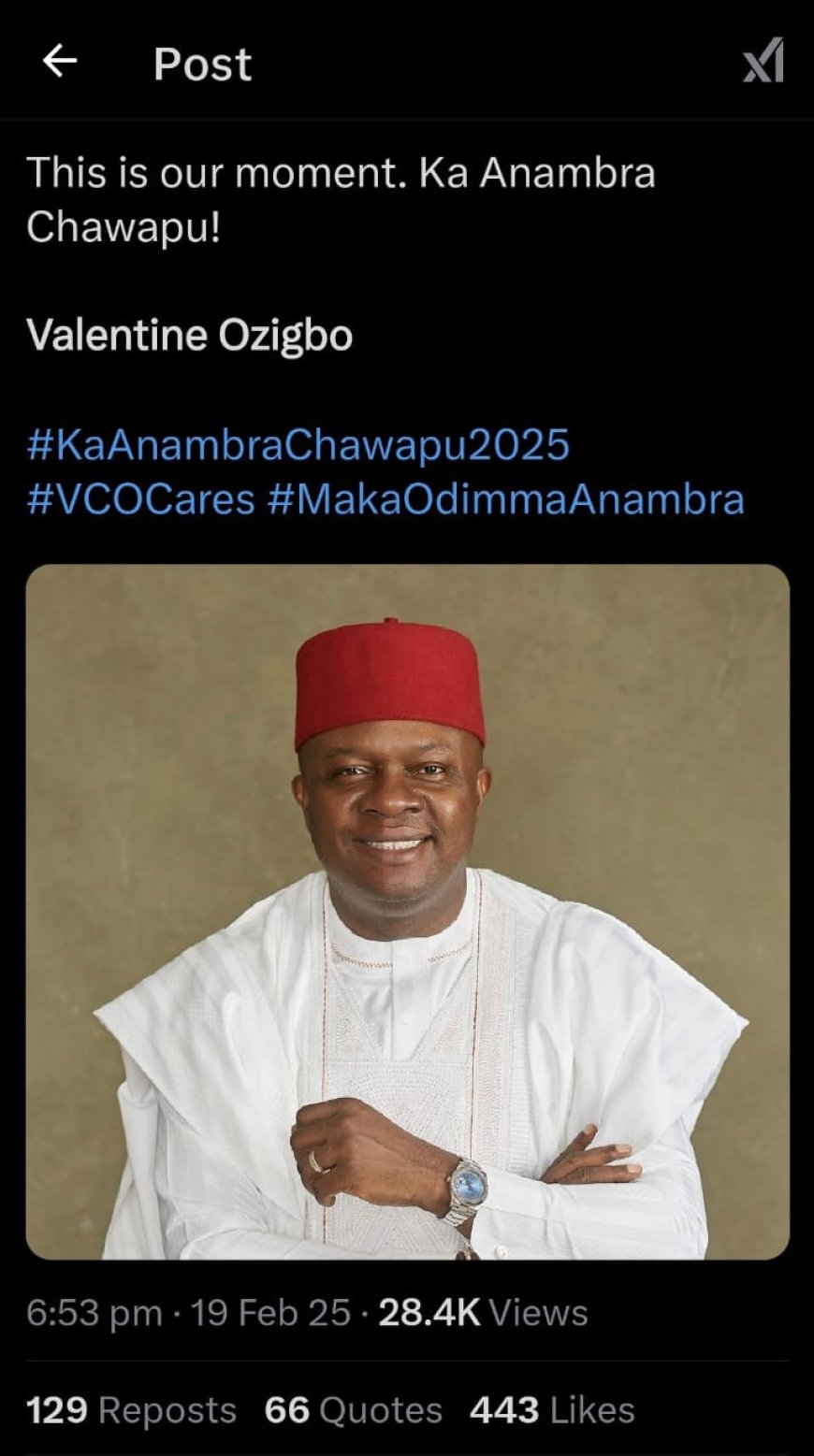 Valentine Ozigbo Resigns from Labour Party, Cites Leadership Issues