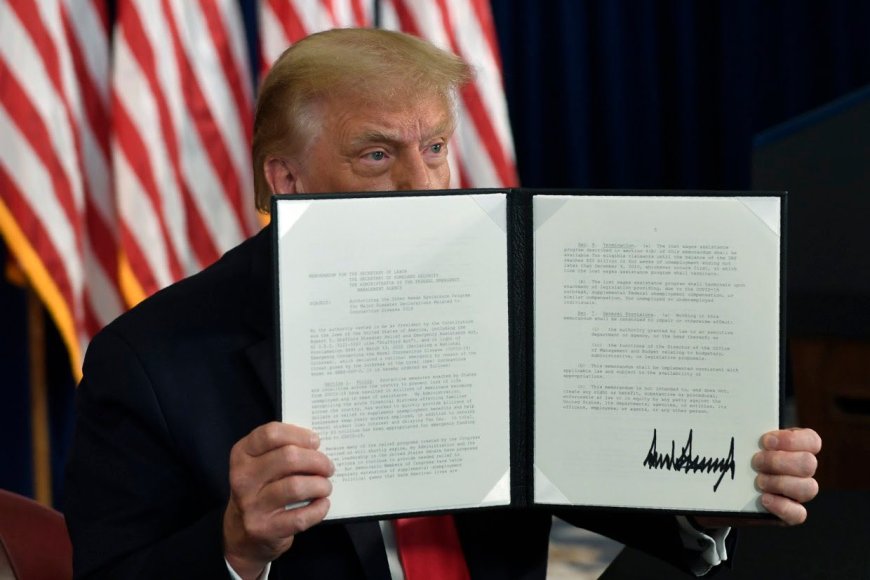 Trump Signs Executive Order to Cut Federal Funds for Undocumented Migrants