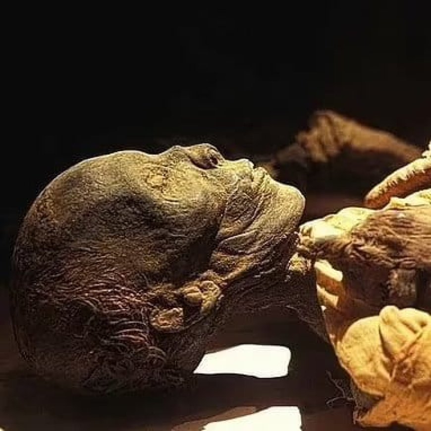 First Pharaoh’s Tomb Discovered in Over a Century Near Luxor