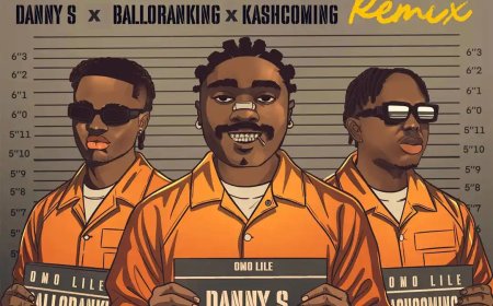*Download and Listen to "Omo Lile (Remix)" by Danny S ft. Balloranking & Kashcoming*
