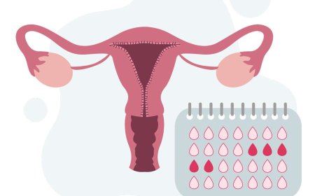 *What It Means When a Woman Has Not Seen Her Menses in Months