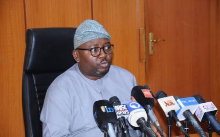 Minister of Power Promises Stable Electricity Supply During Ramadan