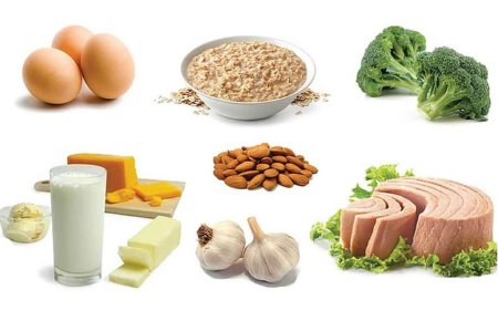 Foods Rich in Protein