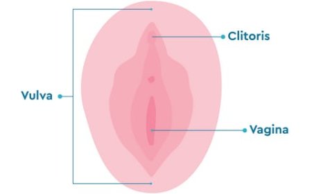⚠ Proper Vaginal Hygiene: Front to Back*