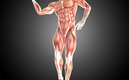 *Top 5 Research Insights for Building Muscle*