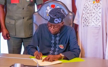 “You Are All Hired” — President Tinubu Promises Full Employment to Youth Monitoring Primary Healthcare Centres