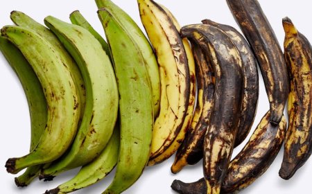 Why Plantains Last 15 Days in a Supermarket but Only 2 Days at Home*