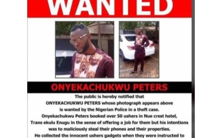 Police Begin Manhunt for Serial Fraudster Who Lures Female Ushers with Fake Jobs, Steals Their Belongings