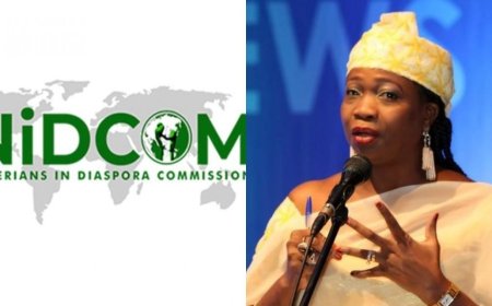 Many Nigerians Abroad Regret Relocating, Battling Depression – NiDCOM Boss, Abike Dabiri-Erewa