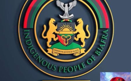IPOB Demands Return of Seized Goods from Onitsha Drug Market