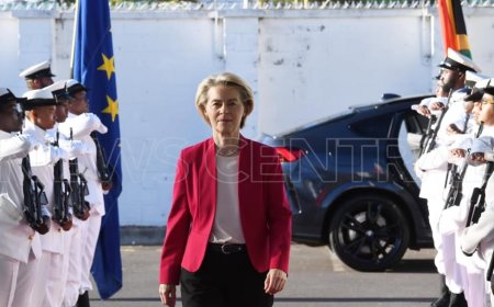 EU Commission President Ursula von der Leyen Arrives in Cape Town for Summit