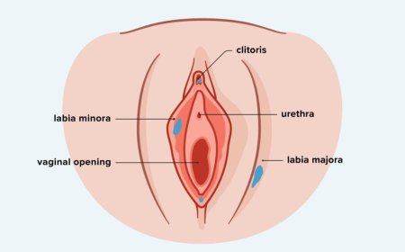 ⚠ Vaginal/Vulvar Health