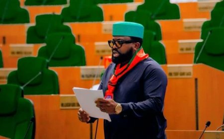 National Assembly Was Consulted Before Rivers State Emergency Declaration : House Spokesperson