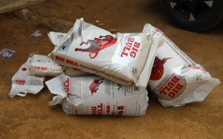 NAFDAC Raids Port Harcourt Markets, Uncovers Massive Fake Rice Operation
