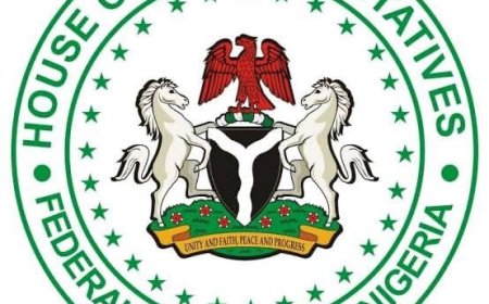 House of Reps Overwhelmingly Backs State of Emergency in Rivers State