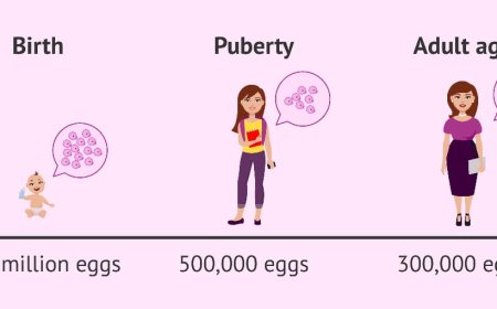 *The Impact of Age on Female Egg Quality