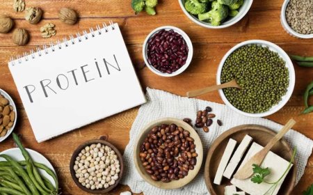 *The Importance of Protein Meals Over Carbohydrates*