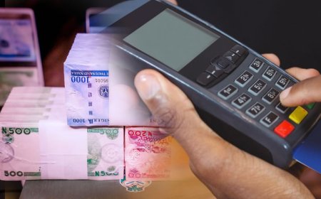 Nigeria Leads Global Decline in Cash Transactions as Digital Payments Surge