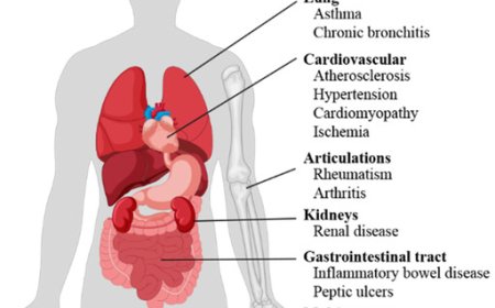 *Antioxidants are compounds that help protect the body from oxidative stress caused by free radicals.*