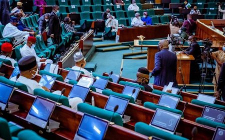 House of Reps Moves to Cap Presidential, Gubernatorial Age at 60