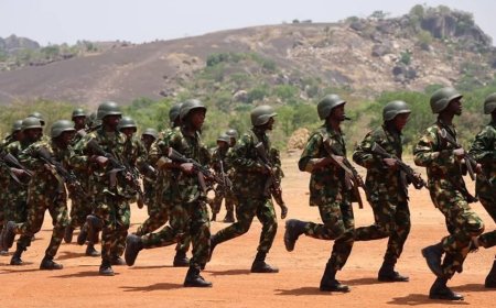 Nigerian Soldiers Cry Out Over "Unsafe" Food, Unpaid Allowances & more...