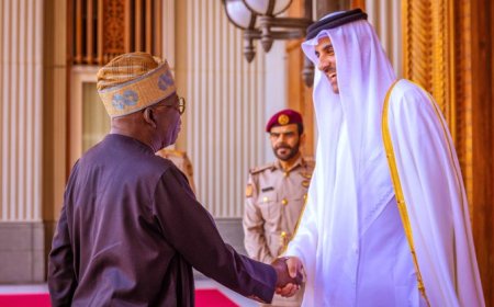 Nigeria Set to Become Third African Country to Offer Citizenship by Investment, Attracting Global Attention