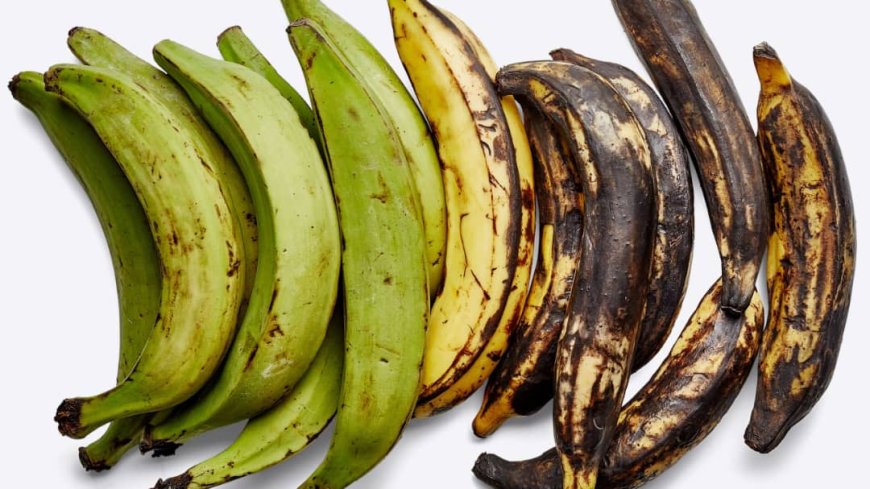 Why Plantains Last 15 Days in a Supermarket but Only 2 Days at Home*