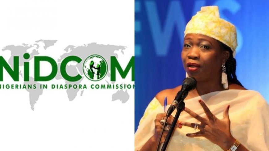 Many Nigerians Abroad Regret Relocating, Battling Depression – NiDCOM Boss, Abike Dabiri-Erewa