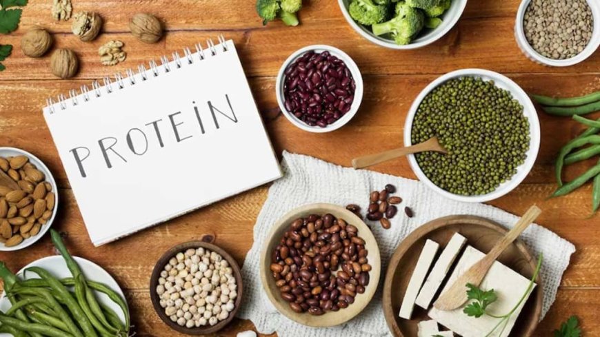 *The Importance of Protein Meals Over Carbohydrates*
