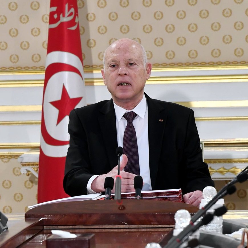 Tunisian President Calls for Faster Repatriation of Irregular Migrants