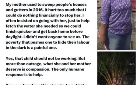 Tunde Onakoya Offers Multimillion Naira Scholarship to Daughter of Woman Exposed for Child Labor