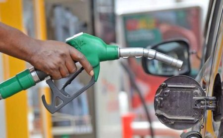 NIPSS Predicts Petrol Prices May Drop to N750 Per Litre by Year-End