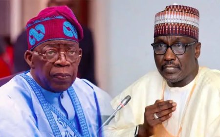 President Bola Tinubu has dismissed the board of the Nigerian National Petroleum Company (NNPC) Limited, including its Group Chief Executive Officer (CEO),