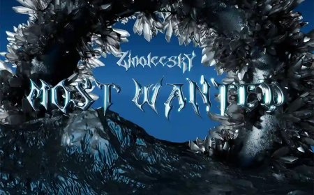 *Listen to and download "Most Wanted" by Zinoleesky in MP3 format below.