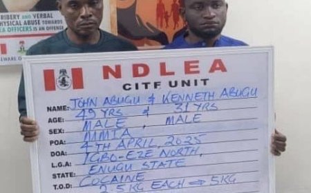 NDLEA Arrests Two Brothers with 5kg of Cocaine and Ghanaian-British Student with 19.4kg of Cannabis at Lagos Airport