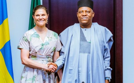 Crown Princess Victoria of Sweden Meets with Vice President Shettima
