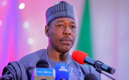 Borno Losing Ground to Boko Haram, Governor Zulum Raises Alarm Over Military Setbacks