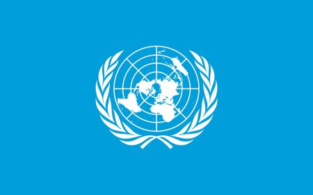 *The United Nations (UN) plays a crucial role in fostering international cooperation and addressing global challenges.
