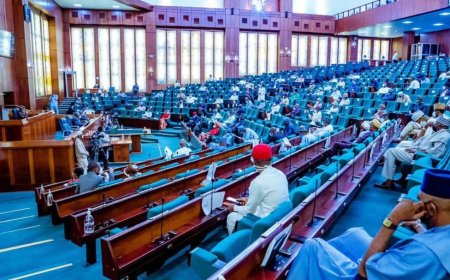 NASS Proposes Jail-Term for Non-Voters