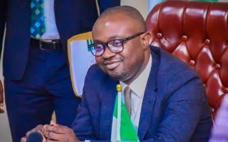 FG Introduces Tough Penalties for Visa Overstayers