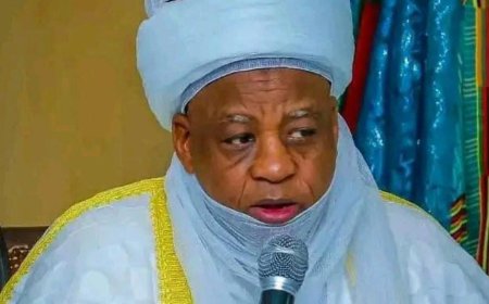 Sultan of Sokoto Demands Urgent Action to Stop Killings in Northern Nigeria