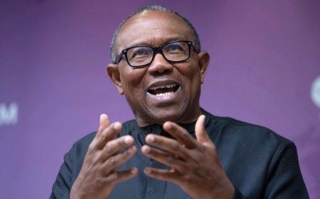 Peter Obi Urges President Tinubu to Cut Retreat Short and Address Issues at Home