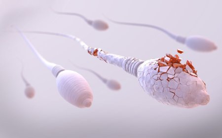 Irregular Menses, Low Sperm Counts, and the Way Forward