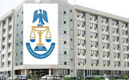 SEC DG States No Recovery for Victims of N1.3 Trillion Lost in CBEX Ponzi Schem