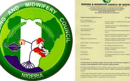 Nursing Council Approves Arabic Certificate for Admission Amid Mixed Reactions