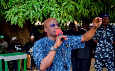Benue Under Siege: Governor Alia Says Killings Are Part of Plot to Occupy Land