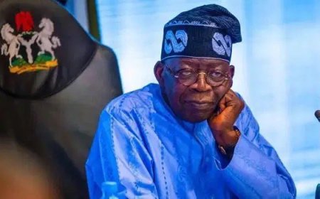 Presidential Villa Allocates N10bn for Solar Project in 2025 Budget