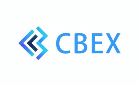 "I Was Convinced by Their Certificates": CBEX Victim Recounts How Legal Registrations Masked a Ponzi Scheme