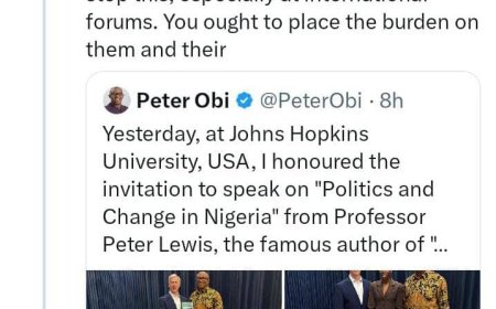 Sowunmi Urges Peter Obi to Stop Demarketing Nigeria at International Forums